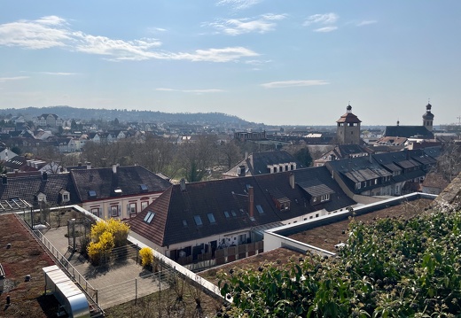 20220325073955-ef1d1a91